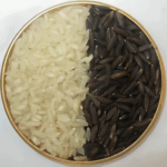 kalanamak-paddy-seed
